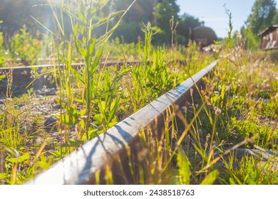 Closeup of overgrown abandoned railroad tracks in summer - Powered by Shutterstock