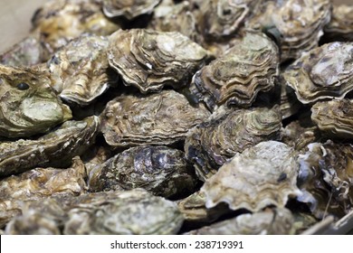 Closeup Of Oyster Shells For Diner