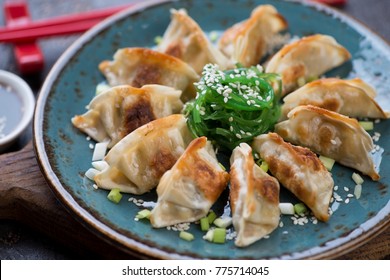 Closeup Pan Fried Gyoza Dumplings Seaweed Stock Photo 775714045 ...