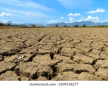 Close-up of a parched, cracked earth surface illustrating severe drought and arid conditions. Ideal for concepts related to climate change, environmental issues, desertification, and water scarcity - Powered by Shutterstock