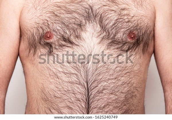 Close-up\
Part of hairy Body of Man, Male Chest with\
Hair