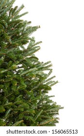 Closeup Of Part Of A Real Evergreen Christmas Tree With No Decorations Isolated On White Background