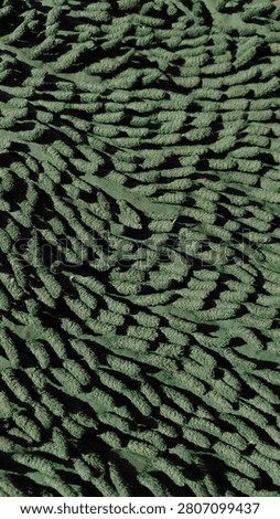Close-up partial view of green fabric with soft blur effect, showing detailed textile texture with natural folds and shadows created by sunlight. The composition highlights material quality, surface detail, natural lighting, and abstract background aesthetics. Suitable for themes like fashion, textile design, background texture, and natural light studies