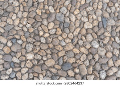 Closeup Pebble Texture Pathway Surface Showing Weathered River Stones Arranged In Tight Mosaic, Muted Earthy Tones, Natural Irregular Shapes, Soft Directional Light, Shallow Depth Of Field, Highdetail