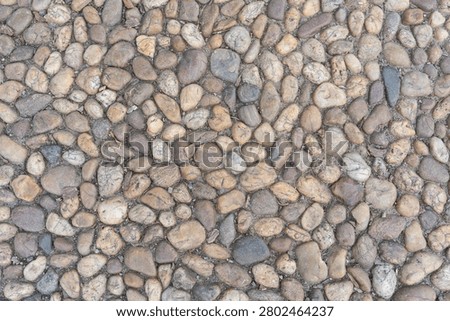 Closeup Pebble Texture Pathway Surface Showing Weathered River Stones Arranged In Tight Mosaic, Muted Earthy Tones, Natural Irregular Shapes, Soft Directional Light, Shallow Depth Of Field, Highdetail