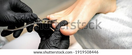 Closeup of a pedicure master is cutting and removing cuticle with nail tongs on female toes in a nail salon