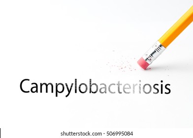 Closeup Of Pencil Eraser And Black Campylobacteriosis Text. Campylobacteriosis, Vibriosis. Pencil With Eraser.