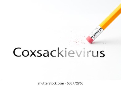 Closeup of pencil eraser and black coxsackievirus text. Coxsackievirus. Hand foot and mouth disease. Pencil with eraser.