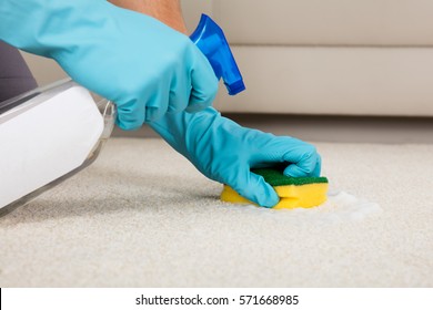 Close-up Of Person Hand Cleaning Carpet With Detergent Spray Bottle