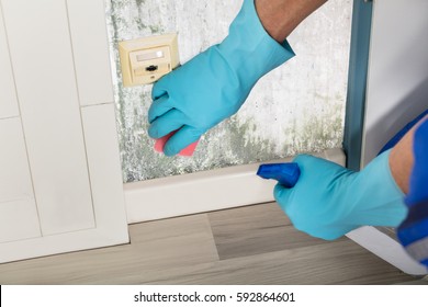 Close-up Of A Person Hand Cleaning Mold From Wall Using Spray Bottle And Sponge