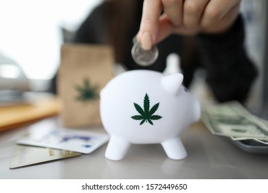Close-up of person hand putting coin in piggybank with small cannabis symbol on it. Credit cards and cash money from selling marijuana lying on desktop. Medical marijuana concept