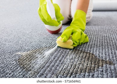 Close-up Of Person Hand Wearing Gloves Spraying Detergent On Grey Carpet To Remove Stains