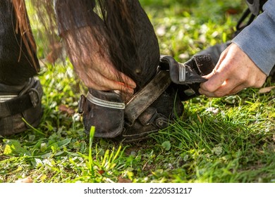 Close-up of a person putting a hoof shoe on a horses hoof - Powered by Shutterstock