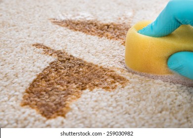 Close-up Of Person's Hand Cleaning Stain On Carpet With Sponge