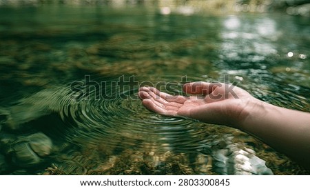 A close-up of a person's hand gently touching the surface of a clear, shallow forest stream, creating soft ripples.