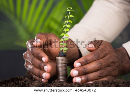 Close-up Of Person's Hand Protecting Sapling On Stacked Coins