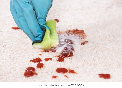 Close-up Of A Person's Hand Wearing Gloves Cleaning Stain Of Carpet With Sponge