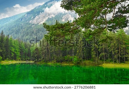 A close-up perspective of the crystal clear emerald green waters of Grüner See (Green Lake) located in Tragöß, Styria, Austria. The scene features a lush pine branch in the foreground, framing the serene lake and the dense coniferous forest. In the background, the majestic limestone peaks of the Hochschwab mountain range are partially shrouded in soft clouds, creating a peaceful and pristine alpine atmosphere