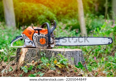 Close-up of petrol-powered chain saw left by arborist on top of tree stump