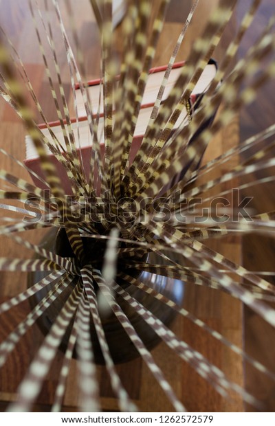 Closeup Pheasant Feathers Vase Stock Photo Edit Now 1262572579