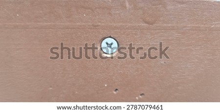 Close-up of a Phillips screw fixed into a brown wooden surface. Detailed view of wood panel and metal screw suitable for carpentry, DIY projects, furniture construction, and building material concepts.