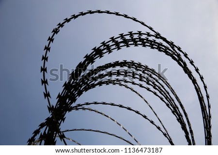 Close-up photo of barbed wire against the background of blue sky. Human rights concept. Abstract image on such matters as security, prison, freedom, tyranny or dictatorship.