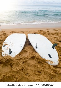 Closeup photo of big and small surboards lying on the wet sand at sea beach