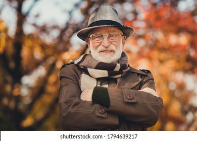 Closeup Photo Of Cheerful Retired Old Grey Haired Grandpa Central Park Walk Positive Enjoy Sunny Day Weather Arms Crossed Wear Stylish Autumn Jacket Hat Scarf Specs Colorful Street Outside