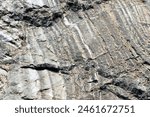 Close-up photo displaying the textured surface of stromatolitic rock, showcasing its intricate layers formed by ancient microbial mats