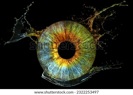 close-up photo of eye colorful iris