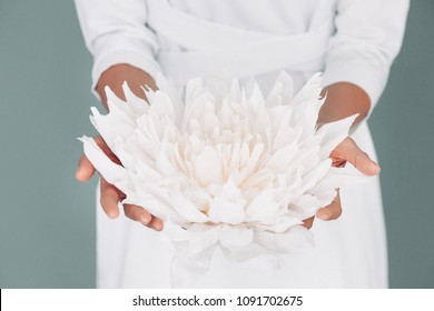 Close-up Photo Of Female Hands Holding Gently Large White Lotus Flower On Blue Background Isolated