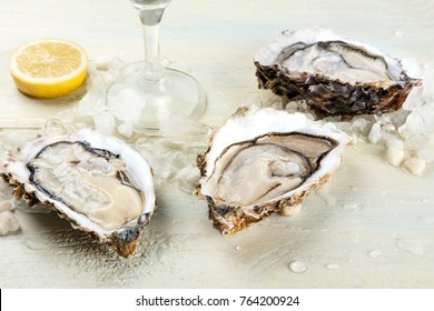 A closeup photo of freshly opened oysters on ice, with a glass of white wine, a slice of lemon, and a place for text