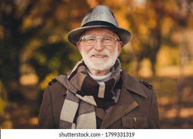 Closeup Photo Of Funny Glad Old Pensioner Grey Haired Grandpa Central Park Walk Enjoy Sunny Day Warm Weather Toothy Smiling Wear Stylish Autumn Jacket Hat Scarf Specs Colorful Street Outside