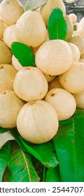 Close-up photo of guavas in market.Pakistani Fresh Guava. Fruits background.Green Leaf Texture yellow guava. Pakistani Sweet and Fresh Guavas