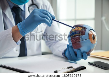 Close-up photo of a healthcare worker holding a human eye replica explaining the parts of an eye Stock foto © 