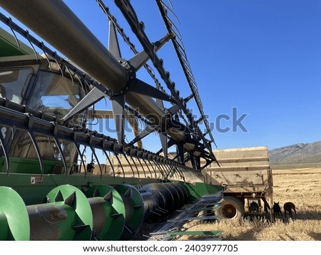 A close-up photo of a mechanical harvester unloading wheat to a transporter with the reel, reel tines, auger, cutters and other components visible.