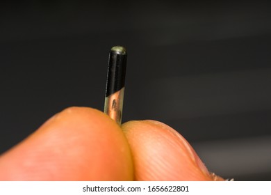 Close-up Photo Of A Microchip For Pets On Human Finger