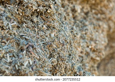 Close-up Photo Of Pressed Maize Silage, Livestock Feed.