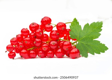 Close-up photo of red currants. Beautiful shallow depth of field that brings out the details of the fruit. The stunning vibrant red color of the currant stands out in the image. - Powered by Shutterstock