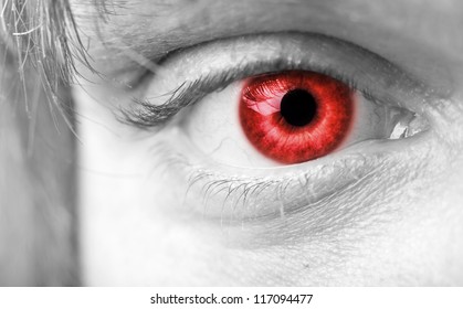 Close-up Photo Of A Red Vampires Eye