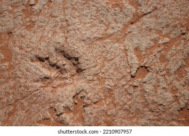 Closeup Photo Of Rock In Saint George, Utah