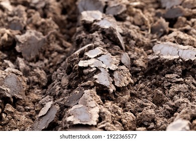 close-up photo of sand and soil, a real close-up of a part of the earth's crust, ordinary plain brown soil in a field