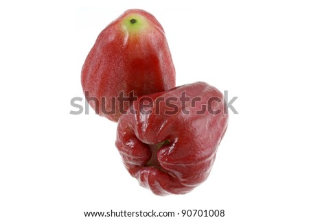 Closeup photo of tropical fruit - sweet ripe Rose Apple, also called water Apple or Chompoo fruit in Thai, isolated on white background