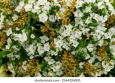 A close-up photo of white flowers with yellow accents. The image features delicate petals and a natural, vibrant green background. - Powered by Shutterstock