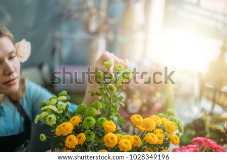 Similar – Woman making wild flowers at home in vase