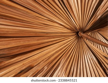 Close-up photograph of the texture of a tropical striped leaf.  - Powered by Shutterstock