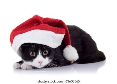 69,510 Cute cat hat Images, Stock Photos & Vectors | Shutterstock