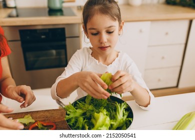 Close-up Picture Of Cute Concentrated Child Holding Green Organic Romaine Lettuce In Hand, Ready To Put It In Bowl To Prepare Healthy And Delicious Salad For Dinner Together With Mom