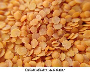 closeup picture of pigeon pea 