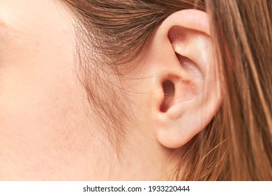 Closeup Picture Of Young Woman Ear